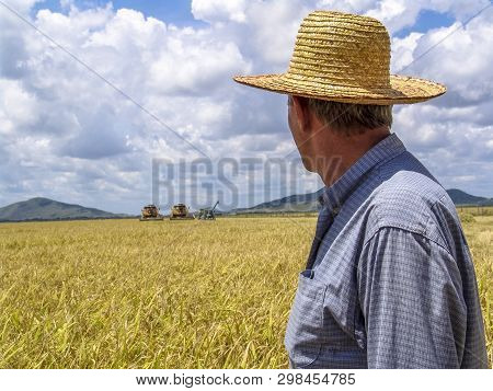 Roraima, Brazil, August 27, 2004. Combines Harvester Harvesting Rice On A Bright Day, In North Of Br