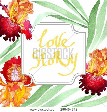 Red Bold Encounter Iris Floral Botanical Flowers. Watercolor Background Illustration Set. Frame Bord