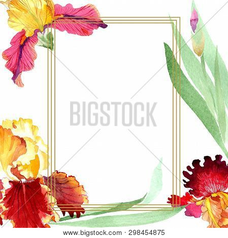 Red Bold Encounter Iris Floral Botanical Flowers. Watercolor Background Illustration Set. Frame Bord