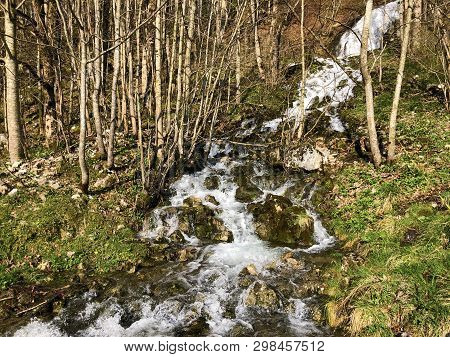 Water Supply Flowing Source Tschuder With Waterfall And Karst Spring Or Karstquelle Tschuder, Schwen