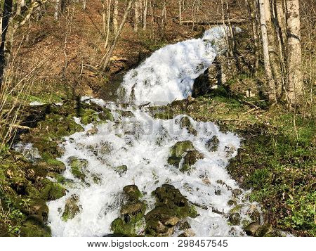 Water Supply Flowing Source Tschuder With Waterfall And Karst Spring Or Karstquelle Tschuder, Schwen