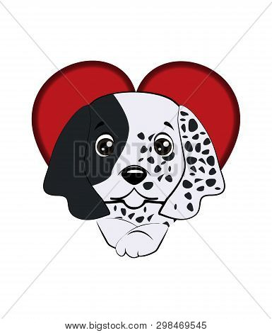 Dog Puppy English Setter. Dog Came Out Of A Hole