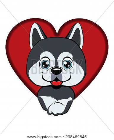 Dog Came Out Of A Hole. Dog Alaskan Kli Kai Breed