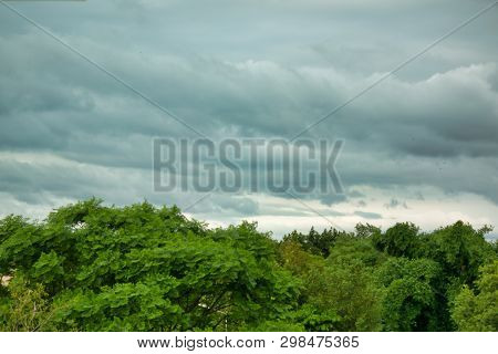 A View Of Overcast Clouds Behind Lush Green Trees