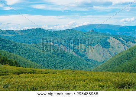 Spectacular View From Meadow Of Giant Mountains With Forest Cover Under Cloudy Blue Sky. Wonderful W