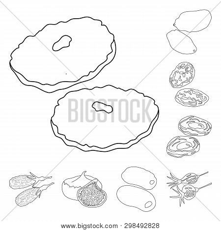Vector Illustration Of Food  And Raw  Icon. Set Of Food  And Nature  Stock Vector Illustration.