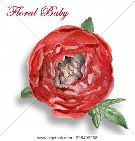 Watercolor Newborn Sleeping Baby In The Flower Peony