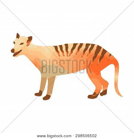 Marsupial Wolf Or Thylacin Silhouette With Orange And Brown Watercolor Texture