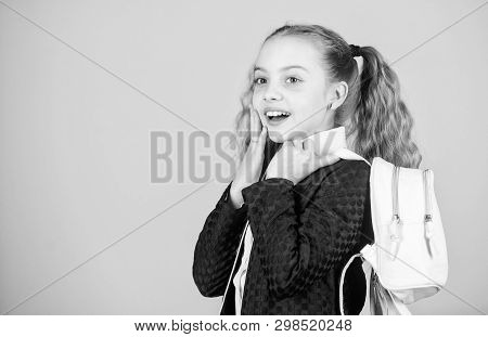 Popular Useful Fashion Accessory. Schoolgirl Ponytails Hairstyle With Small Backpack. Carrying Thing