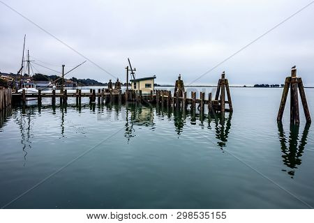 A Calm Morning Along The Dock In Bodega Bay California