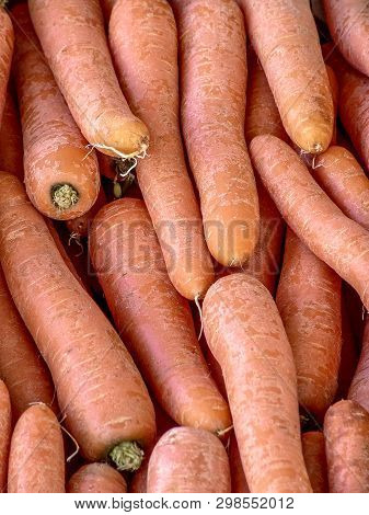 Many Carrots On Stal In Street Marker