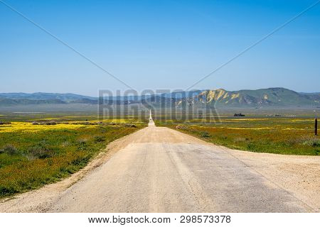 Seven Mile Road In Carrizo Plain National Monument, During The California Superbloom In Spring 2019
