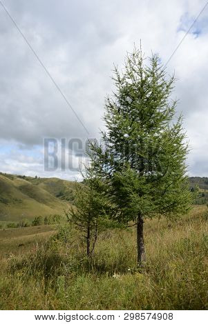 Mountain Landscape In The Vicinity Of The Taiga Village Generalka Altai Territory In Western Siberia