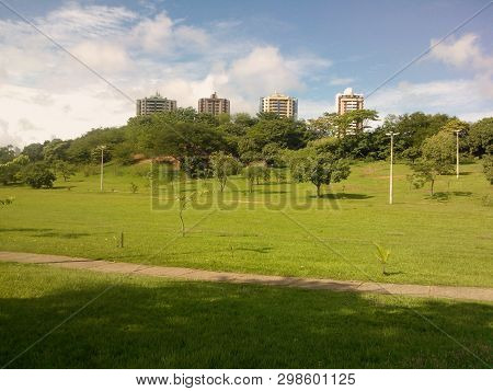 Public Park With Green Grass And Trees Of Natural Vegetation In Brazil During A Sunny Day