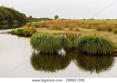 Sunset In The Briere Marsh Area Near Breca (saint-lyphard, France)