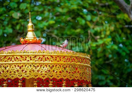 Little Bird Stand On Classic Vintage Red-gold Tranditional Thail Shading (like An Umbella) Decorated