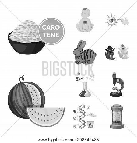 Isolated Object Of Transgenic And Organic Sign. Set Of Transgenic And Synthetic Vector Icon For Stoc