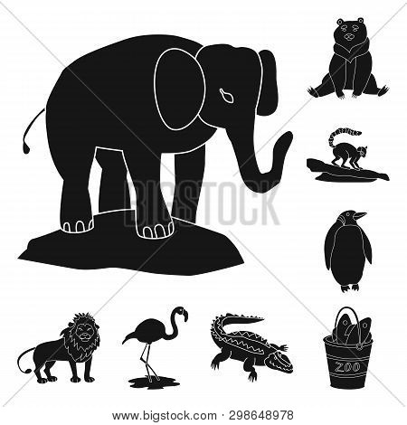Vector Illustration Of Fauna And Entertainment Symbol. Collection Of Fauna And Park Stock Vector Ill