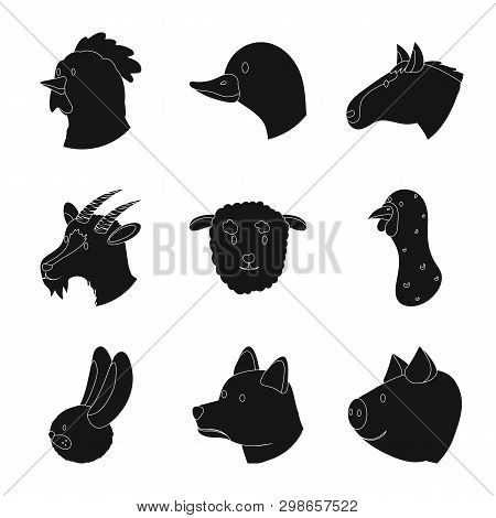 Vector Design Of Ranch  And Organic  Icon. Set Of Ranch  And Head Vector Icon For Stock.