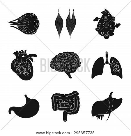 Vector Design Of Research And Laboratory Logo. Set Of Research And Organ Stock Vector Illustration.