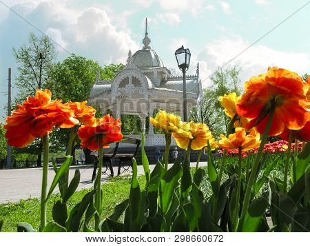 Sumy, Ukraine - April 28, 2019: Flowerbed With Double Terry Red-yellow Tulips Against Altanka In Par