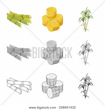 Vector Illustration Of Farm And Agriculture  Symbol. Collection Of Farm And Technology Stock Vector 