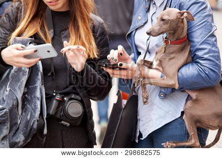 Two Fashionable Stylish Girls With Smartphones, One Is Holding A Beautiful Brown Italian Greyhound D
