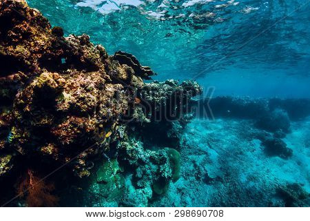 Underwater View With Rocks And Corals In Blue Ocean. Menjangan Island, Bali
