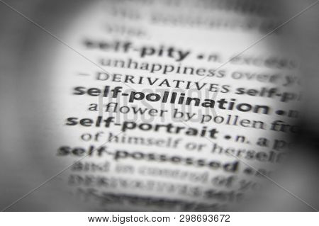 Word Or Phrase Self-pollination In A Dictionary. Great Photo For Your Needs.