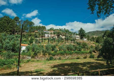Countryside Landscape With Rustic Houses On Hill With Terraced Olive Trees, In A Sunny Day At Unhais