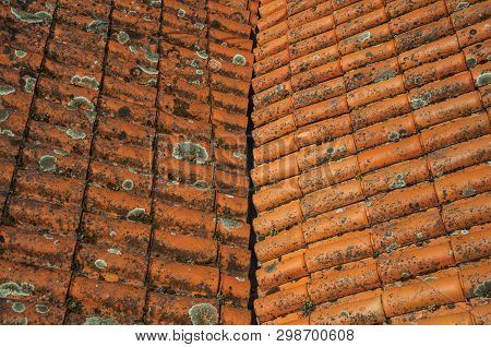 Close-up Of Shingles On Roof Covered By Moss And Lichens Forming A Cute Background At Alvoco Da Serr