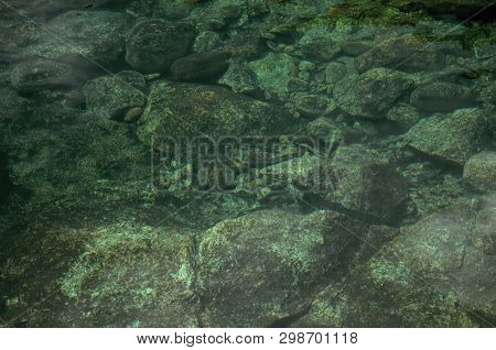 Crystal Clear Water In Small Pond With Stones On The Bottom, In A Cloudy Day Near Loriga. Known As T