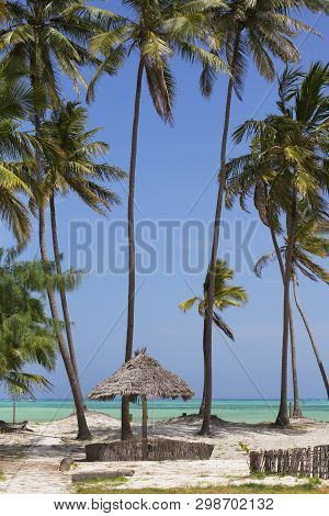 Resort With Palm Trees On Beautiful Paje Beach In Zanzibar Island,tanzania