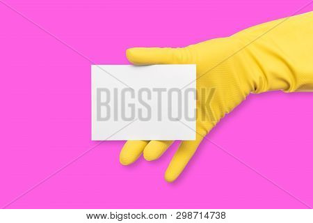A Rubber-gloved Hand Holds A White Blank Business Card On A Pink Background.