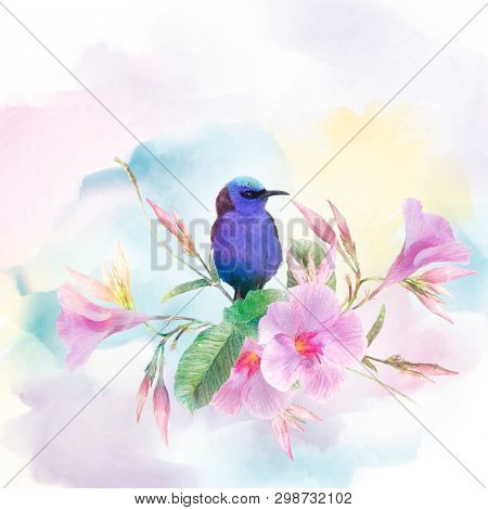 Red Legged Honeycreeper bird on Pink Dipladenia flowers .Digital watercolor painting.