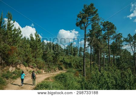 People Hiking On Dirt Road Over Hilly Terrain Covered By Trees