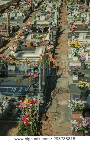 Guarda, Portugal - July 21, 2018. Cemetery With Crypts And Marble Tombs Decorated By Flowers At Guar