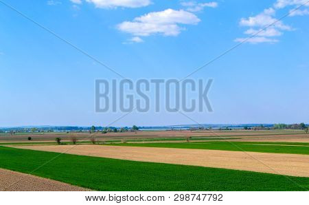 Fields Next To Danube. Agroculture Field