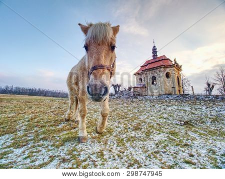 Farm Meadow For Horses At Village Church Or Chapel.  End Of Civilization