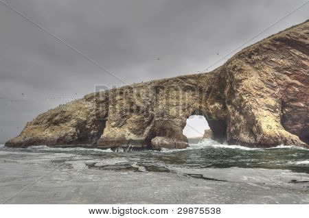 Isole Ballestas, Perù