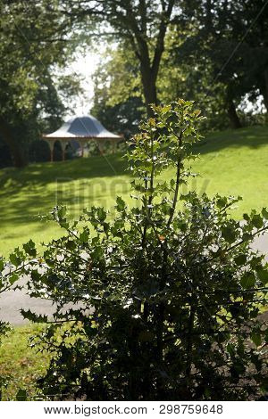 View Of The Arboretum In The East End Of Lincoln, Lincolnshire, Uk - August 2009