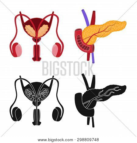 Vector Design Of Biology And Scientific Icon. Set Of Biology And Laboratory Vector Icon For Stock.