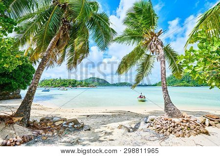 Coconuts Stand On Tropical Beach Of Anse L'islette, Mahe Seychel
