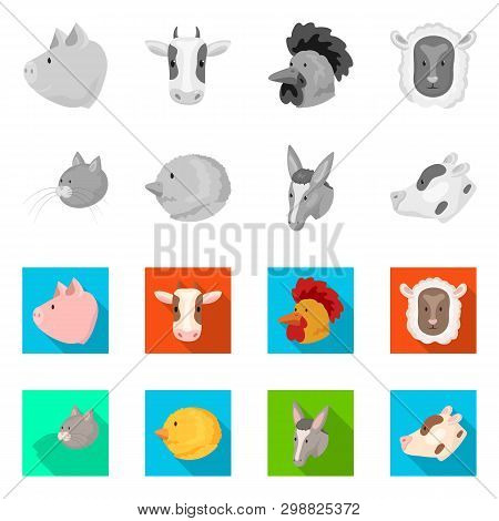 Vector Design Of Agriculture And Breeding Logo. Collection Of Agriculture And Organic  Stock Vector 