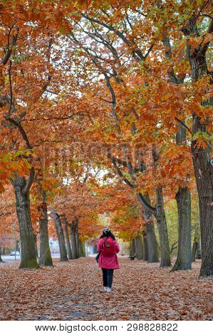 Woman Walking Among Colorful Red And Yellow Foliage Trees In Garden During Autumn At Wilhelm Külz Pa