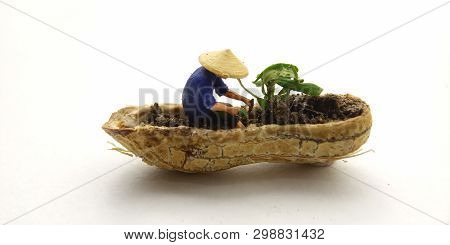 Conceptual Illustration, Keep Struggle, Mini Figure Man Farming At Limited Area, Peanut Skin, With W