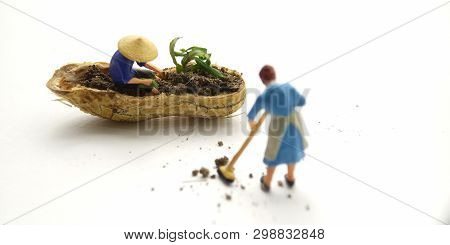 Conceptual Illustration, Keep Struggle, Mini Figure Man Farming At Limited Area, Peanut Skin, With W