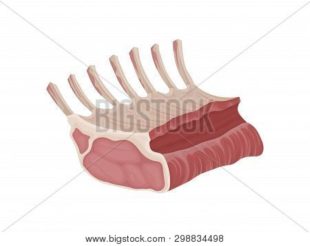Piece Of Raw Meat With Ribs. Vector Illustration,