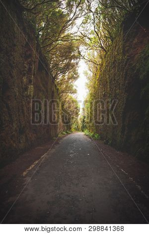 Mirador Pico del Ingles path in Anaga rural park