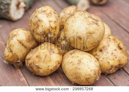 Many Fresh Potatoes In A Wooden Basket In Village